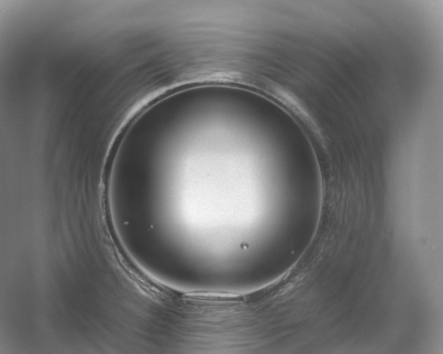 X0000054371332200508051545