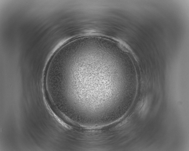 X0000054371333200508051545