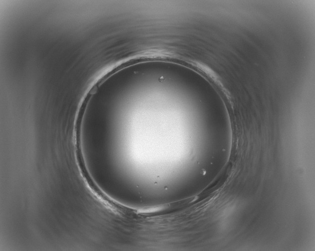 X0000054371335200508051545