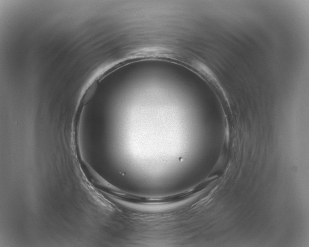 X0000054371336200508051545