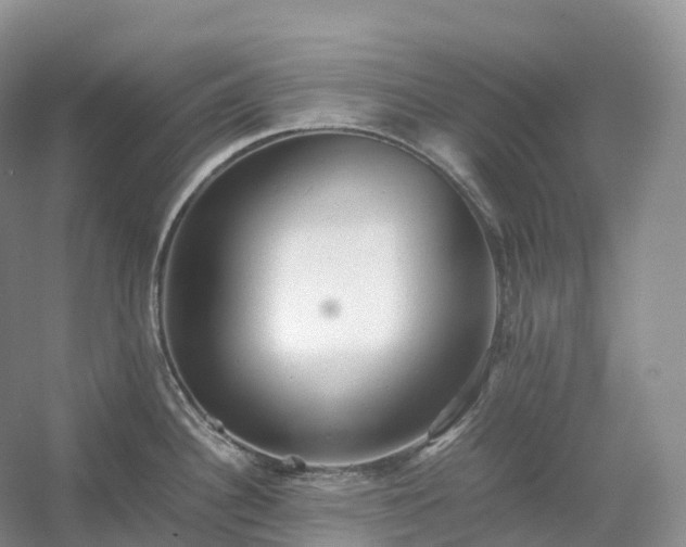 X0000054371340200508051545