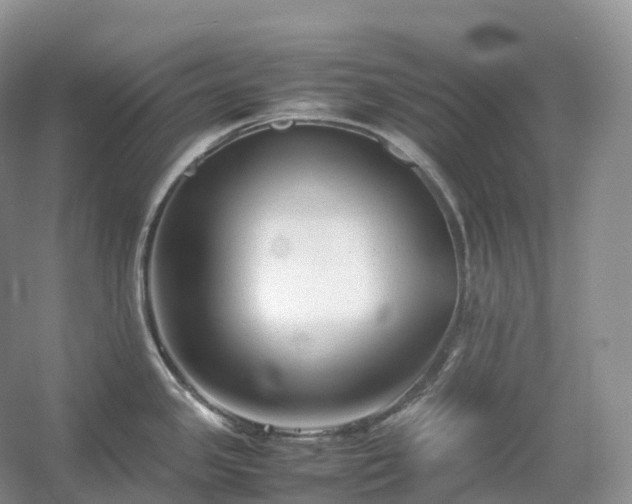 X0000054371341200508051545