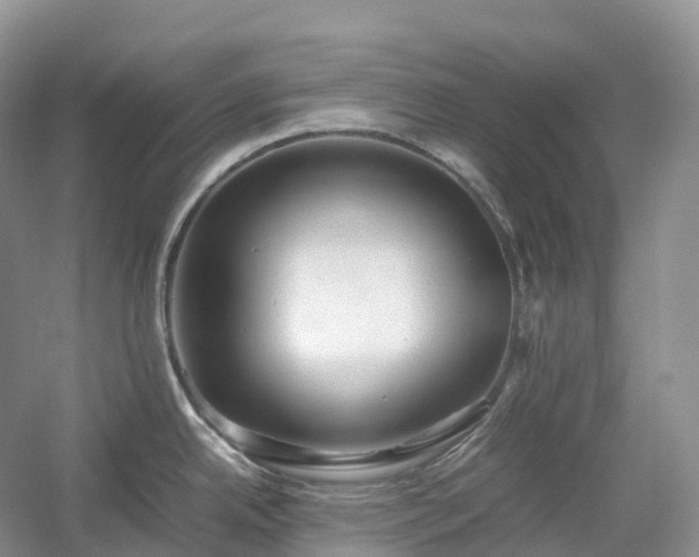 X0000054371342200508051545