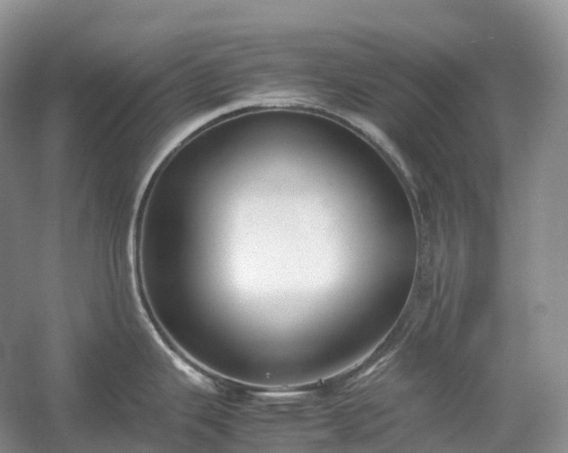 X0000054371343200508051545