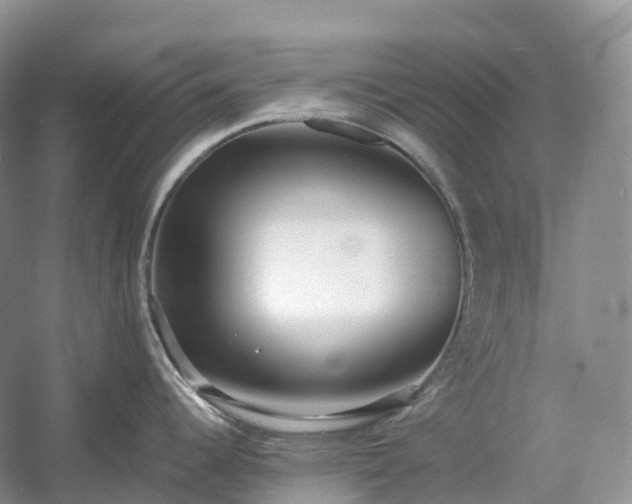 X0000054371344200508051545