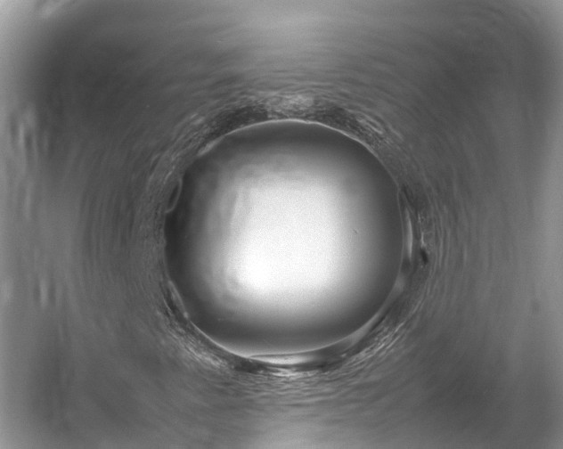 X0000054371345200508051544