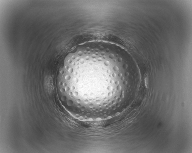 X0000054371347200508051544