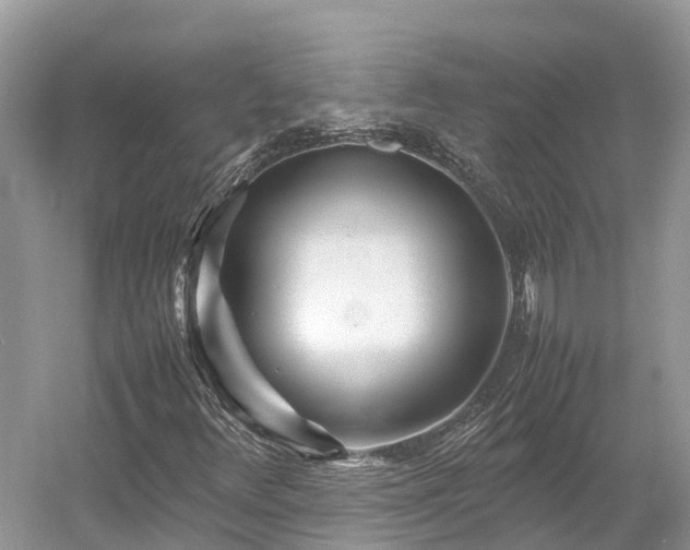 X0000054371348200508051544