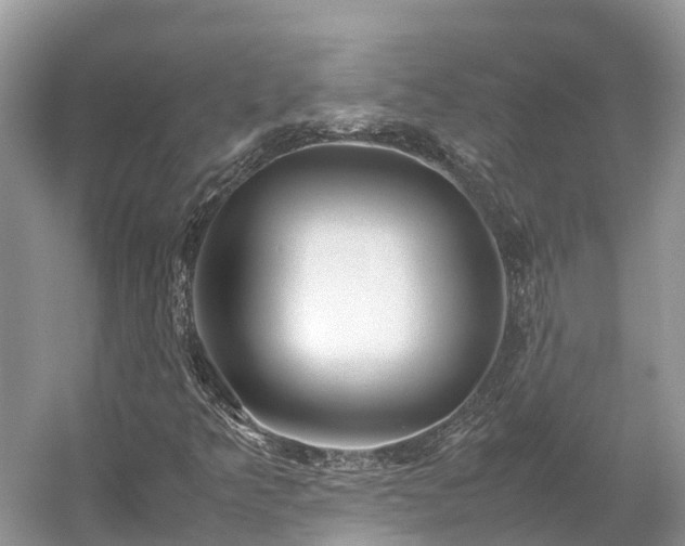 X0000054371349200508051544