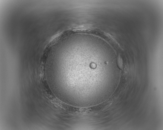 X0000054371350200508051544