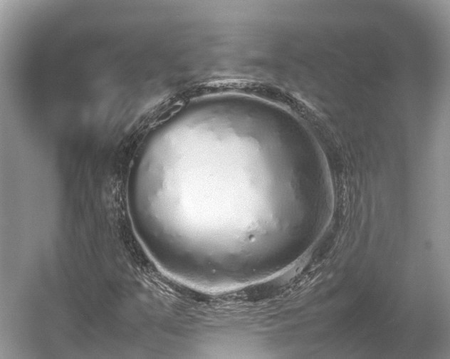 X0000054371351200508051544