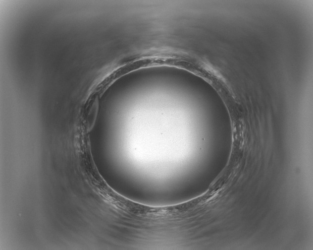 X0000054371352200508051544