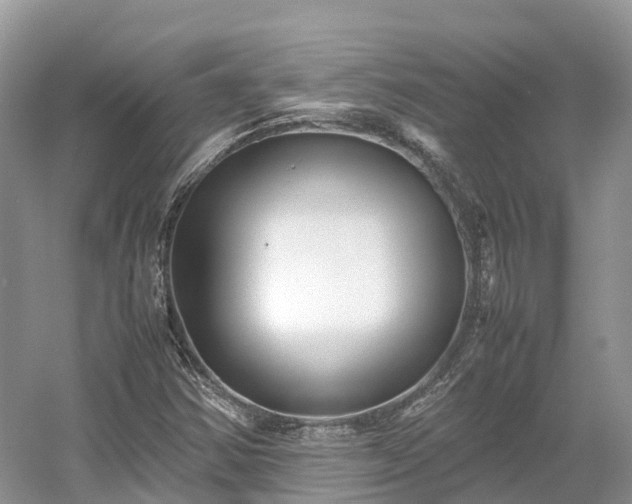 X0000054371354200508051544