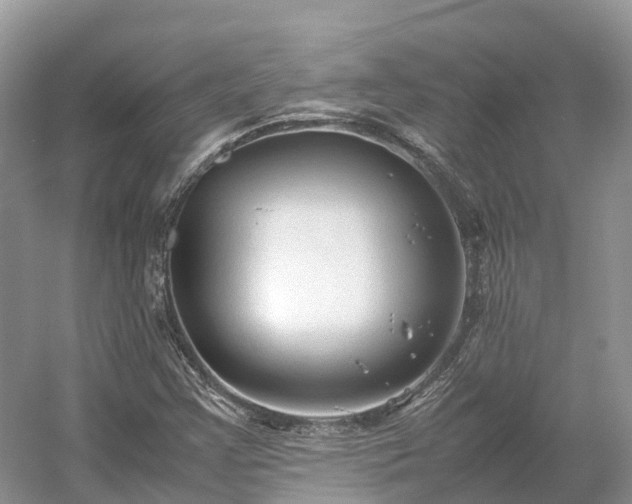 X0000054371355200508051544