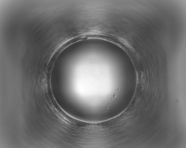 X0000054371356200508051544