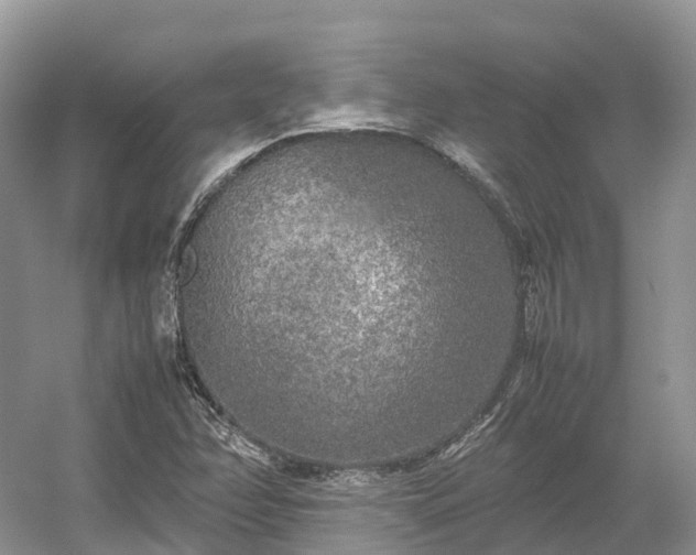 X0000054371358200508051544