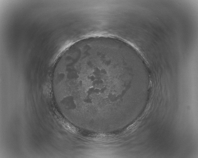 X0000054371359200508051544