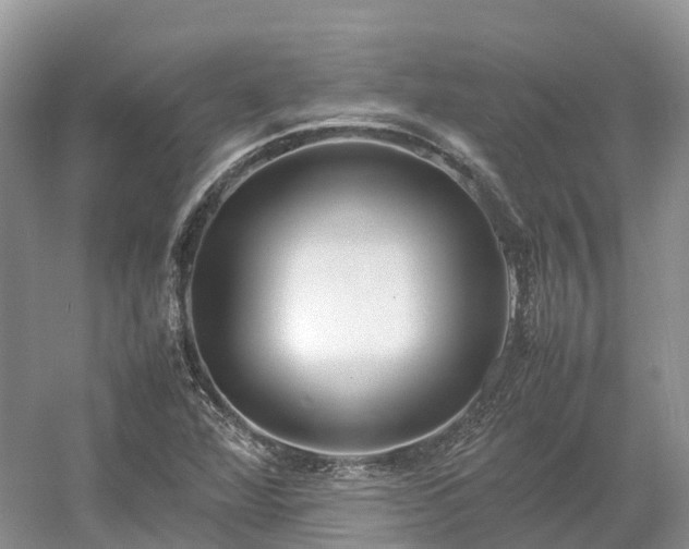 X0000054371360200508051544