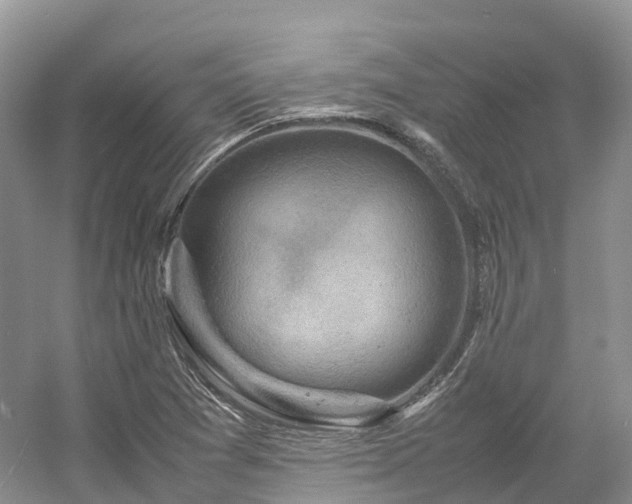 X0000054371361200508051544