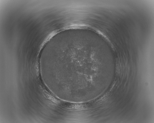 X0000054371362200508051544