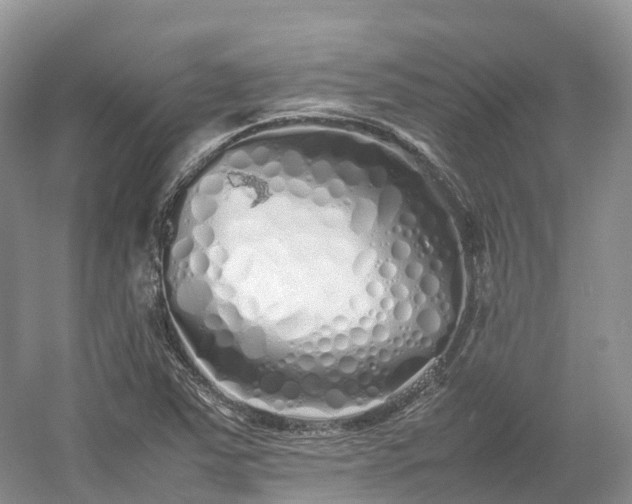 X0000054371363200508051544