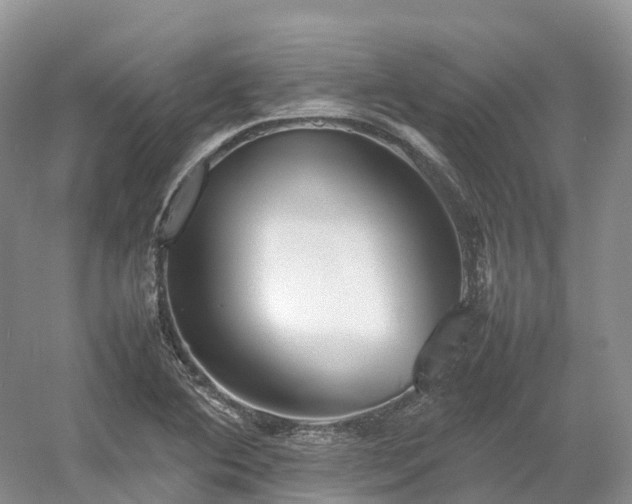 X0000054371364200508051544