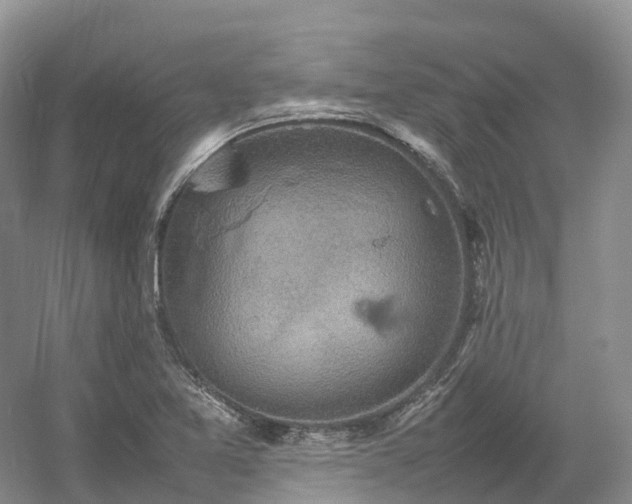 X0000054371365200508051544