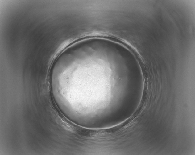 X0000054371367200508051544