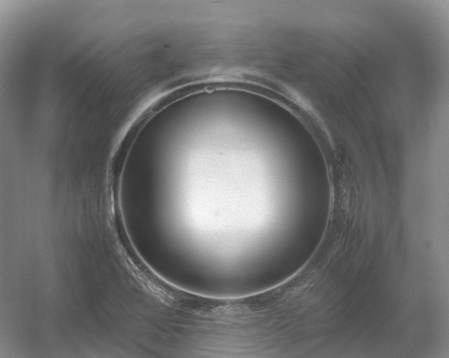 X0000054371368200508051544