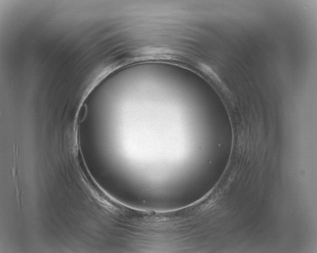 X0000054371370200508051544