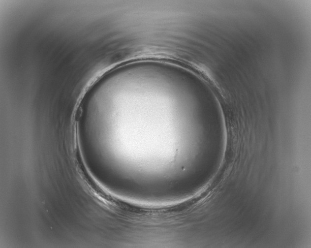 X0000054371371200508051544