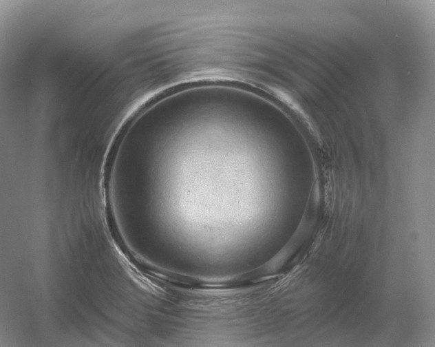 X0000054371372200508051544