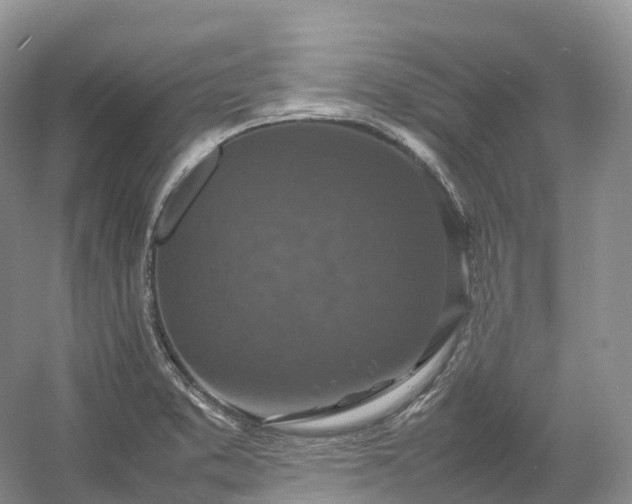 X0000054371373200508051544