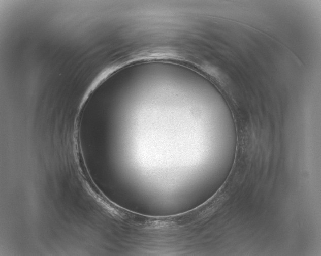 X0000054371374200508051544