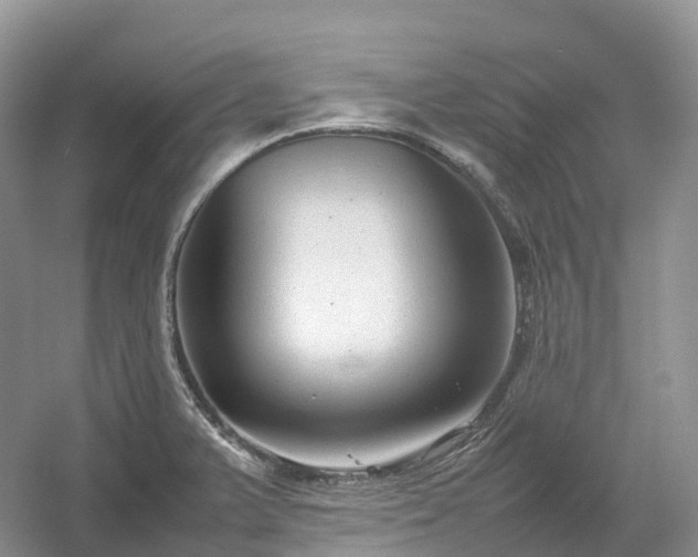 X0000054371375200508051544