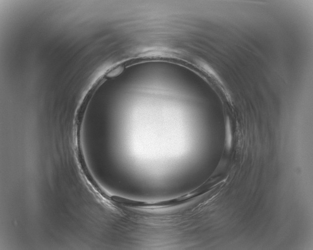 X0000054371376200508051544