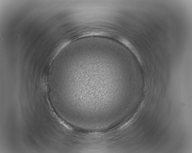 X0000054371377200508051544