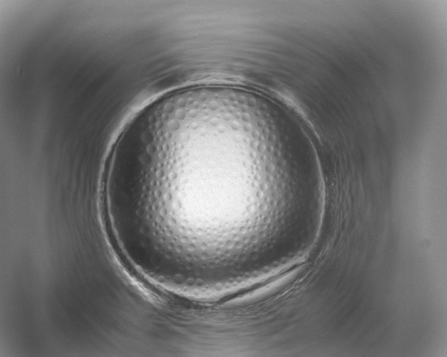 X0000054371379200508051544