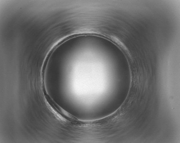 X0000054371380200508051544