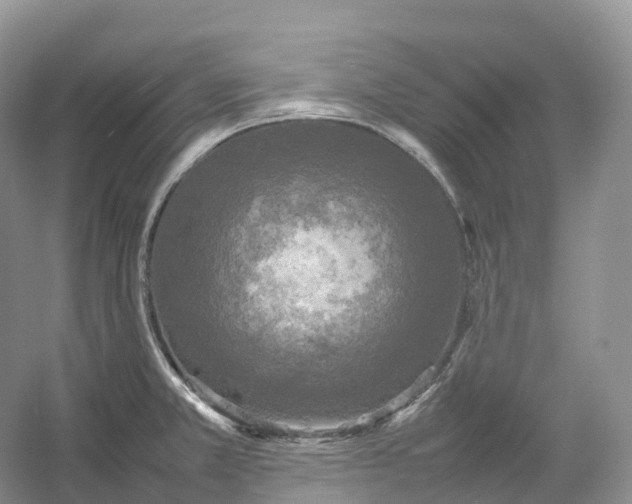 X0000054371381200508051544