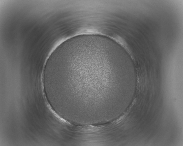 X0000054371382200508051544