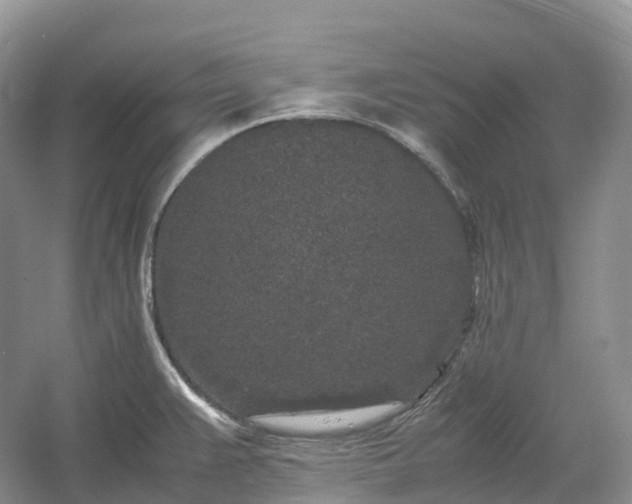 X0000054371383200508051544