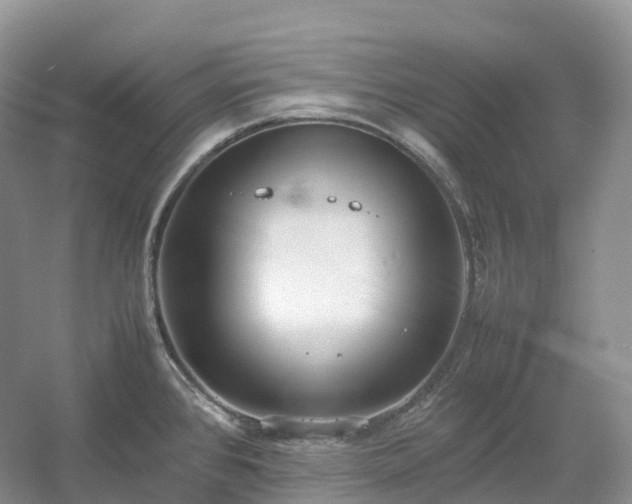 X0000054371384200508051544