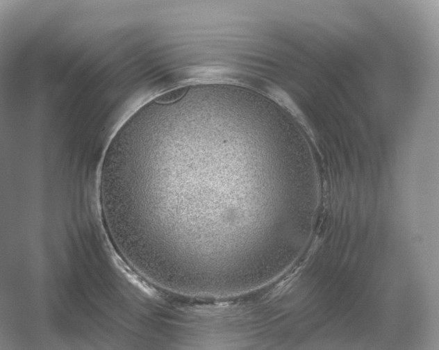 X0000054371386200508051544