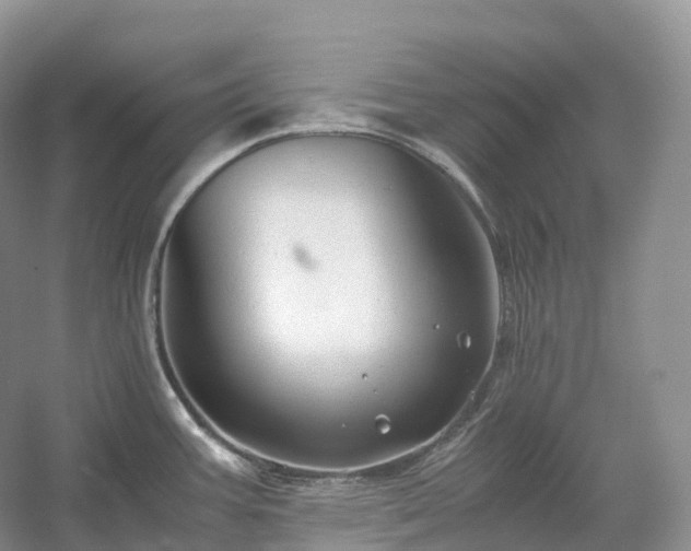 X0000054371387200508051544