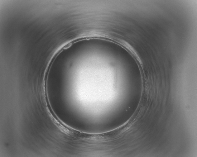 X0000054371388200508051544