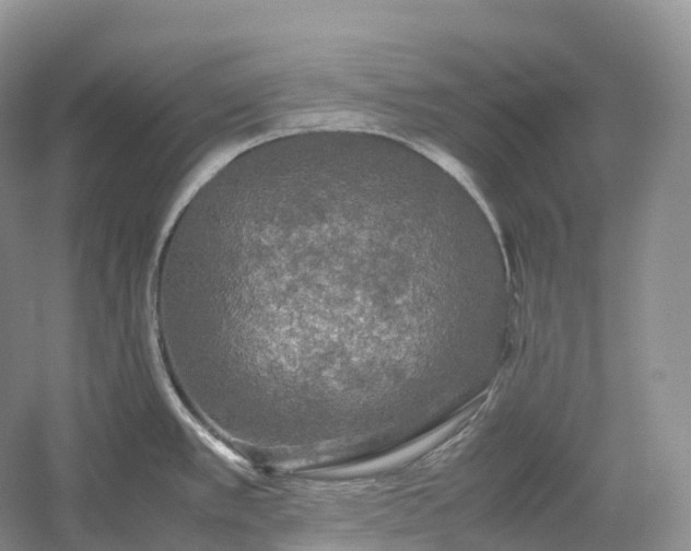 X0000054371389200508051544