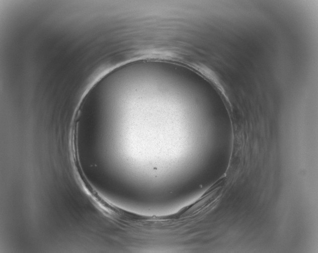 X0000054371391200508051544