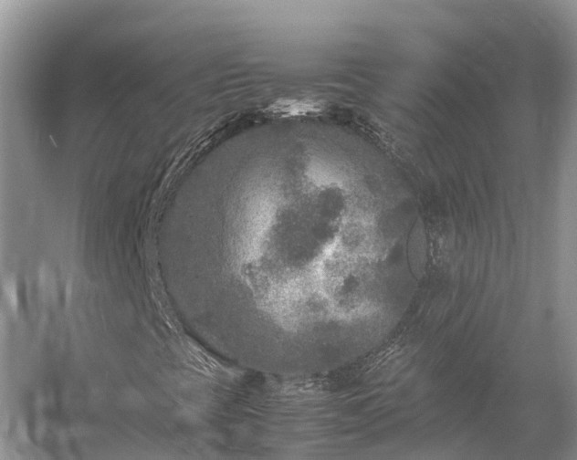 X0000054371393200508051543