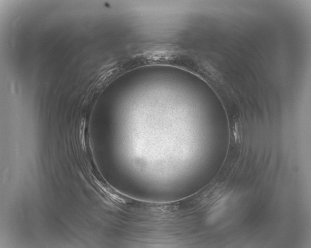 X0000054371396200508051543